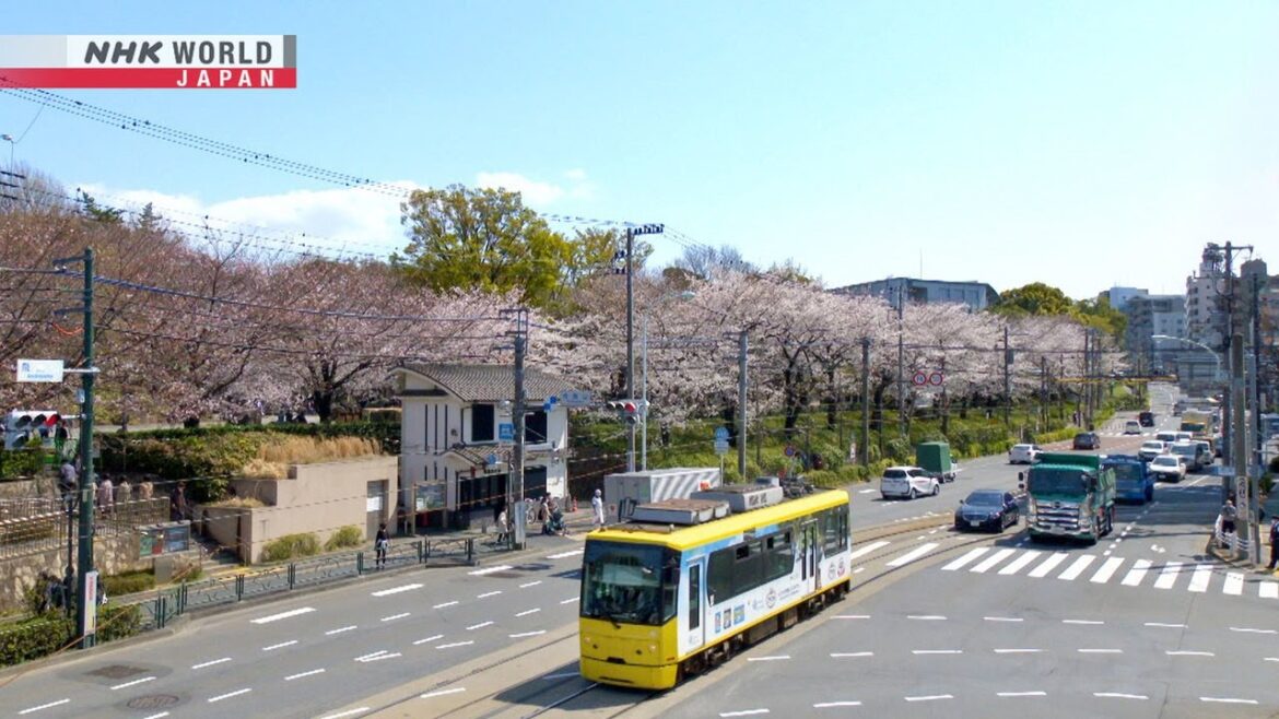 A Track of Dreams  Tokyo's Arakawa Line   Seasoning the Seasons   NHK WORLD JAPAN