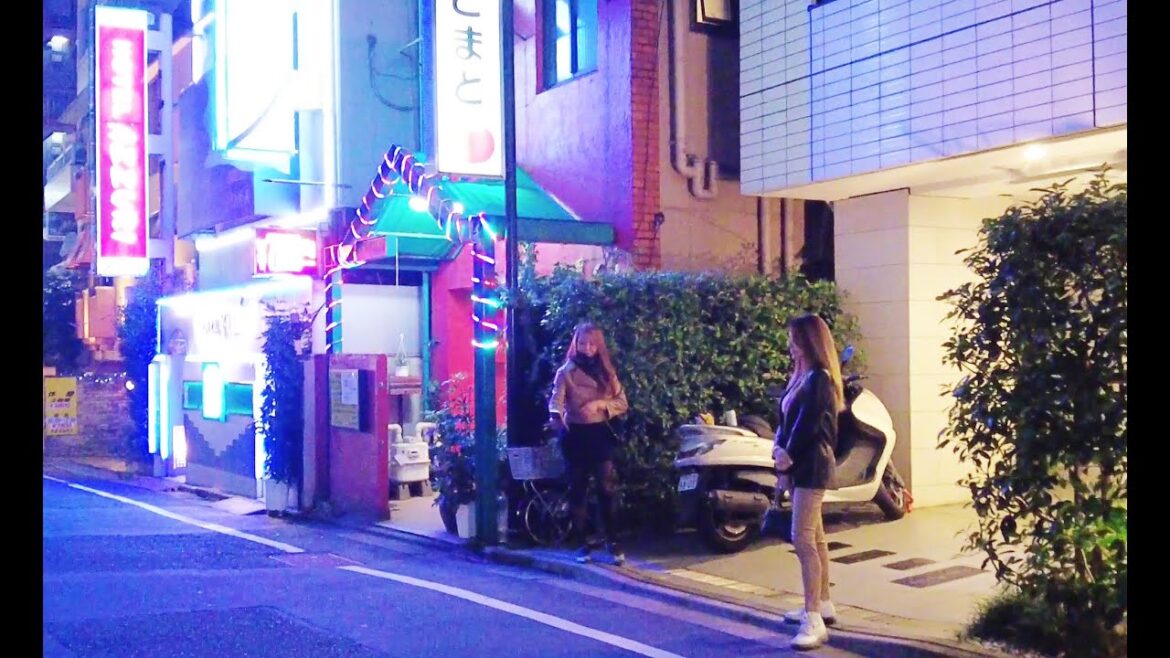[4K] KABUKICHO Night Walk,  Nightlife, Tokyo, Japan,  2022, 歌舞伎町