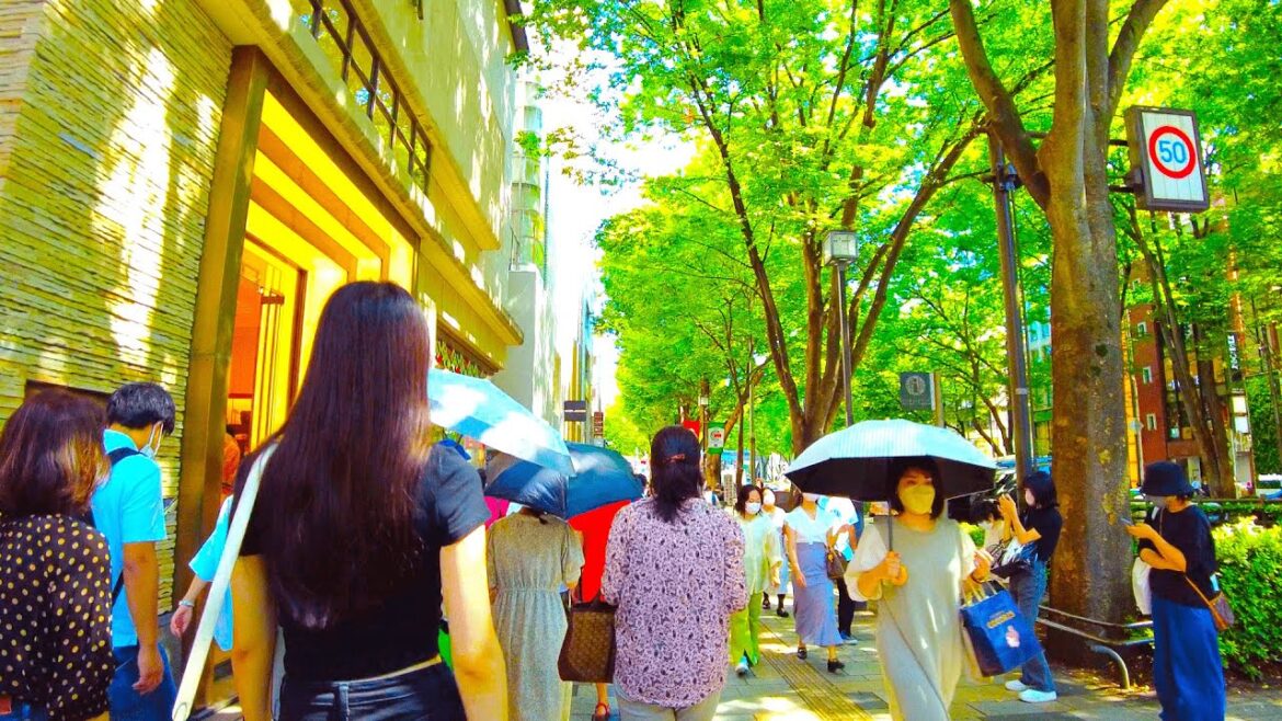 【4K】Tokyo Walk, Harajuku & Omotesando Streets from Meiji Shrine / 明治神宮から原宿＆表参道を裏道まで歩き倒す【Japan】