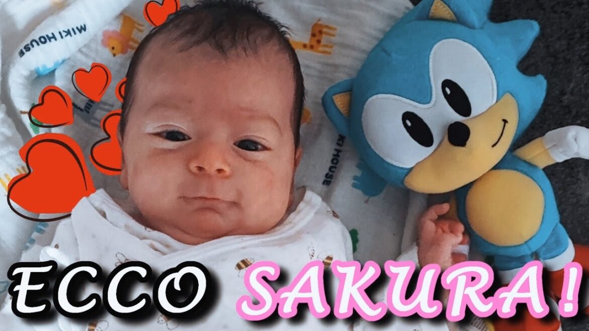 ECCO SAKURA, LA NOSTRA BAMBINA! - Vivi Giappone