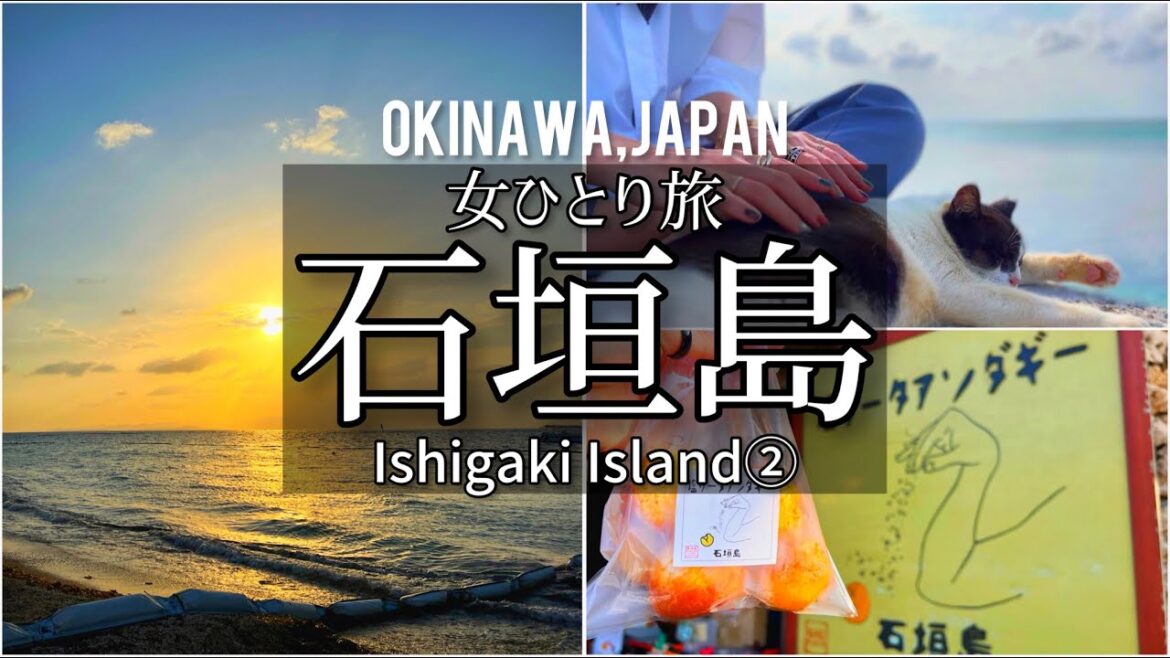 SUB【沖縄旅行vlog②】石垣島一人旅・車なし!バスと徒歩でも超満喫できた弾丸ひとり旅vlog/観光・グルメ SUB【沖縄旅行vlog②】石垣島一人旅・車なし!バスと徒歩でも超満喫できた弾丸ひとり旅vlog/観光・グルメ