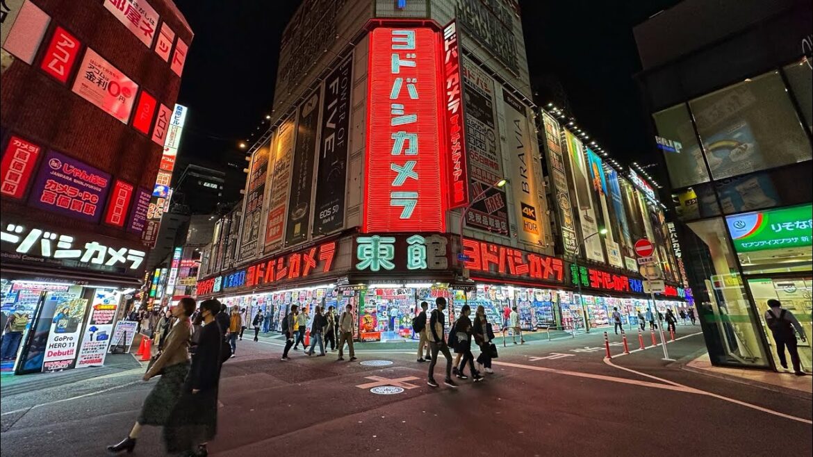 Tokyo - Shinjuku Evening Walk