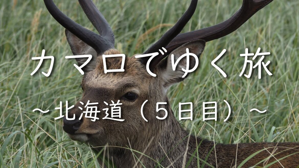 カマロでゆく旅　～北海道～ （５日目）　Camaro Touring to Hokkaido (Day 5)