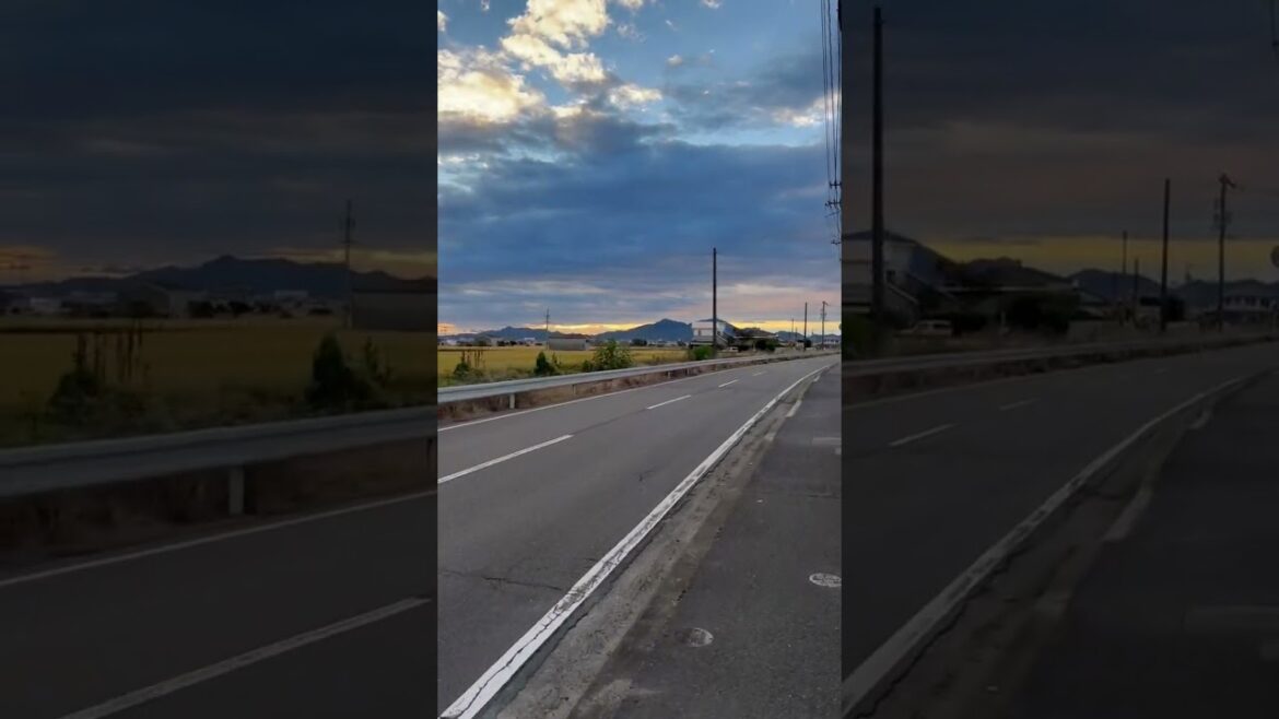 Shorts video #japan #okayama #churaumiaquarium #aquarium