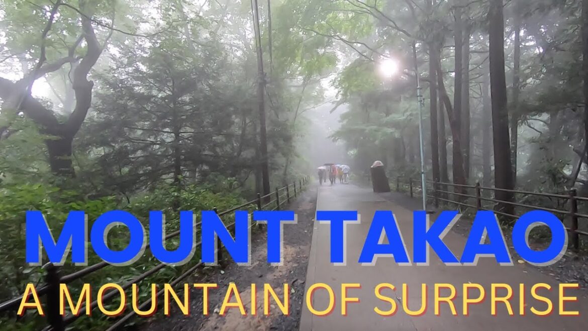 Mount Takao|hiking spot|tokyo|Japan trip|buddhist temple|explore food and travel vlogs Mount Takao|hiking spot|tokyo|Japan trip|buddhist temple|explore food and travel vlogs