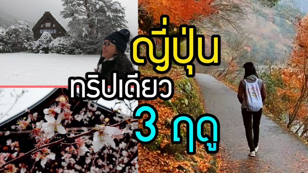 เที่ยวญี่ปุ่นทริปเดียวได้ 3 ฤดู…วิธีแพลนทริปญี่ปุ่น ไปดูใบไม้แดง หิมะ ซากุระ ในทริปเดียว เที่ยวญี่ปุ่นทริปเดียวได้ 3 ฤดู...วิธีแพลนทริปญี่ปุ่น ไปดูใบไม้แดง หิมะ ซากุระ ในทริปเดียว