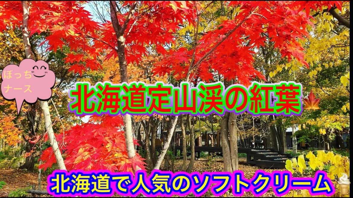 #186【ぼっちナース💉】北海道の紅葉🍁を楽しむ看護師✨定山渓✨sapporoソフトクリームNO１ドライブ🚙hokkaido