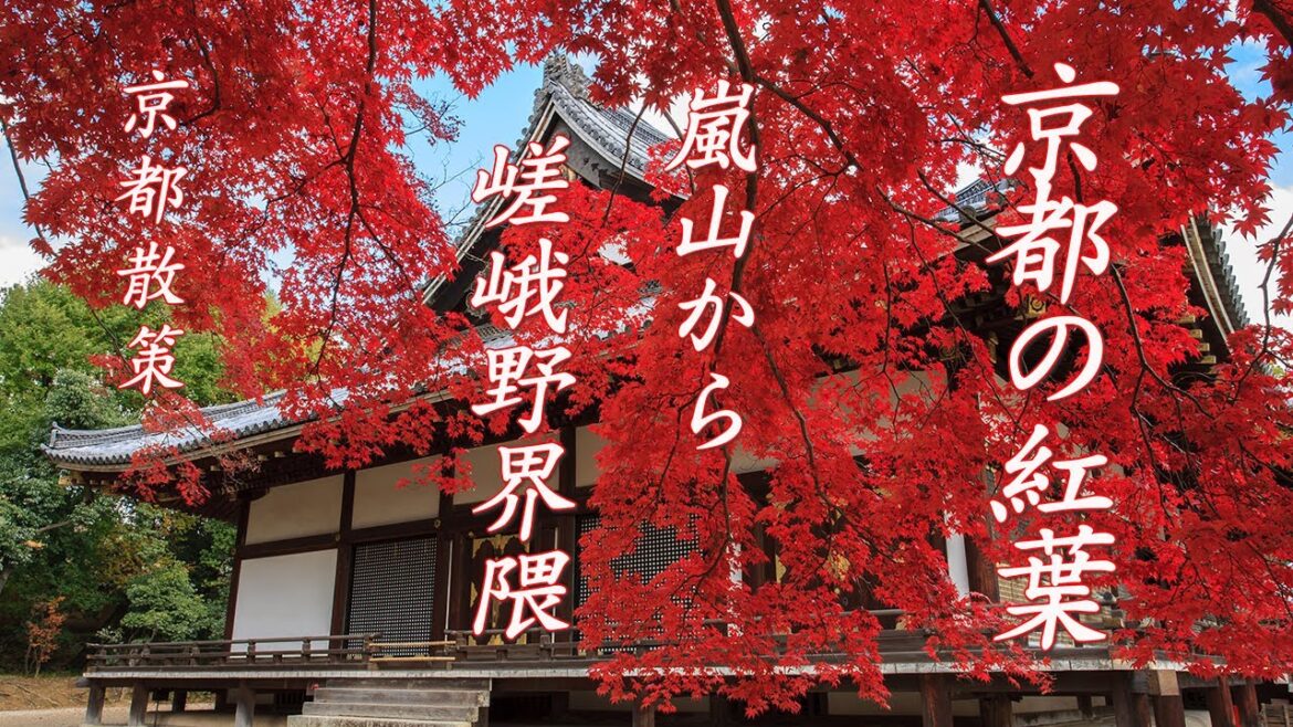 [京都散策]  京都の紅葉  嵐山から嵯峨野界隈  観光スポット kyoto  japan  4K