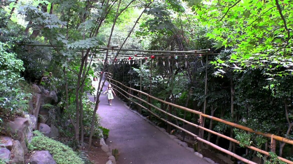 Explore3D Travel: Tokyo, Japan Trailer HD