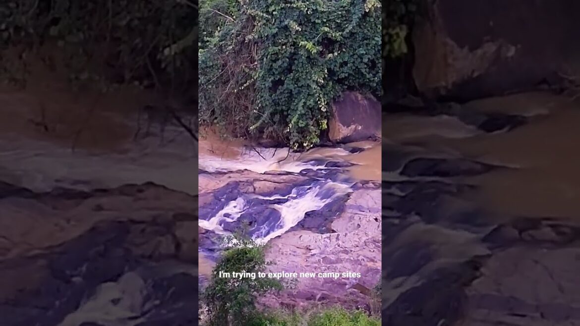 In search of new camp sites and found a beautiful stream.