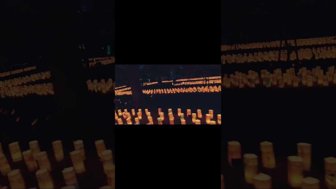 Japanese scenery.なんの景色？