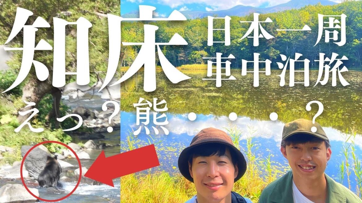 【ハイエース旅】熊と遭遇し震える男二人。知床の絶景とグルメに圧倒される無職車上生活の二人。 【ハイエース旅】熊と遭遇し震える男二人。知床の絶景とグルメに圧倒される無職車上生活の二人。