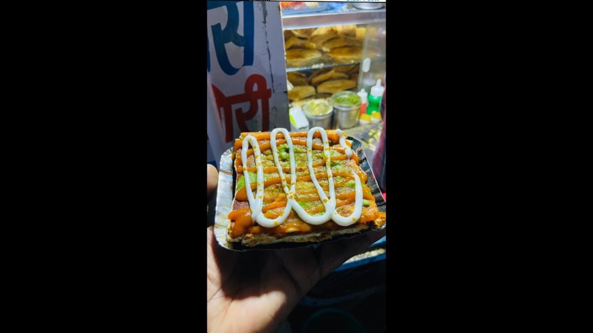 Cheese Paneer Vegetable Masala Sandwich || Bherunath Sandwich Center 😋