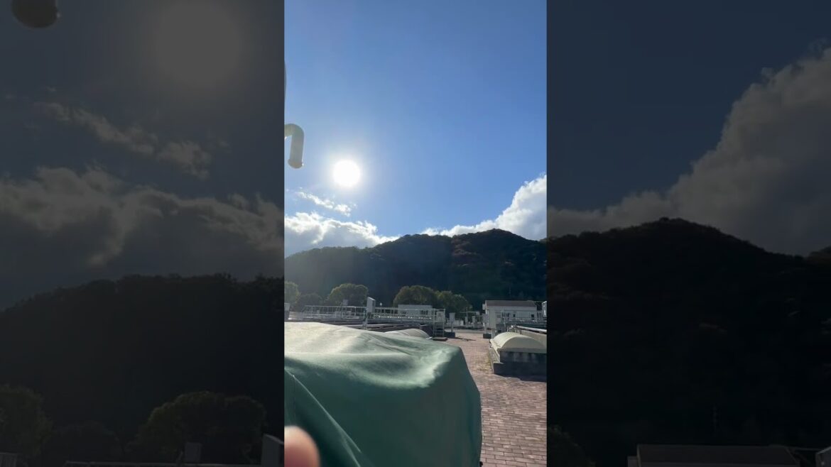 Ambar se toda #ambarsetoda #shortsvideo #short