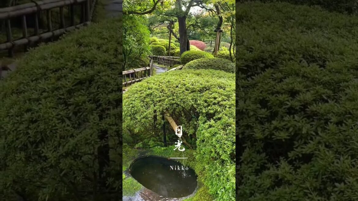 🍂 Early autumn scenery in Nikko, Japan 🇯🇵🫧 #japan #japantravel #travelvlog #nature #日光 #travel