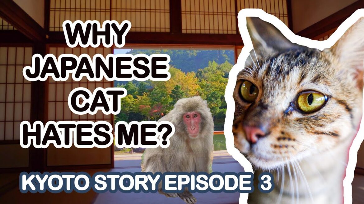 Kyoto Visit Ep. 3 – Arashiyama, Hidden World Heritage Site, Monkey Park, Bamboo, Kimono Garden Kyoto Visit Ep. 3 – Arashiyama, Hidden World Heritage Site, Monkey Park, Bamboo, Kimono Garden