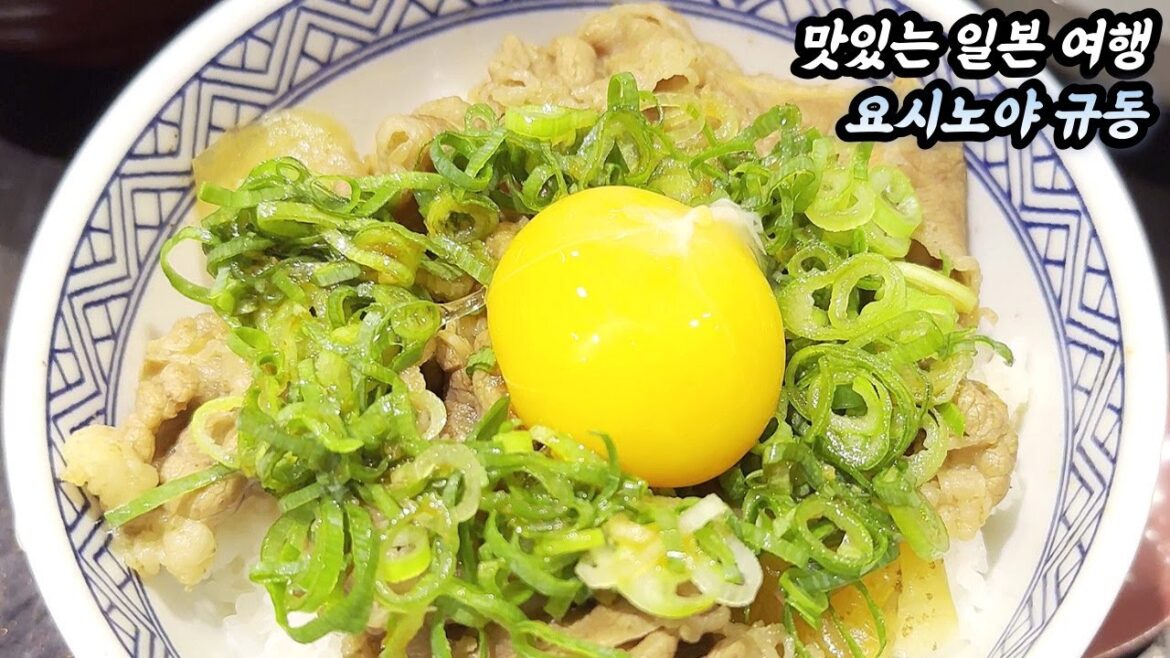 일본 무비자 관광 재개 기념 후쿠오카 여행 | 일본 규동 체인의 원조 요시노야 규동 | 일본 여행 | 일본 브이로그 | 후쿠오카 브이로그 | 일본 직장인 일상 | 화질 1440p 일본 무비자 관광 재개 기념 후쿠오카 여행 | 일본 규동 체인의 원조 요시노야 규동 | 일본 여행 | 일본 브이로그 | 후쿠오카 브이로그 | 일본 직장인 일상 | 화질 1440p