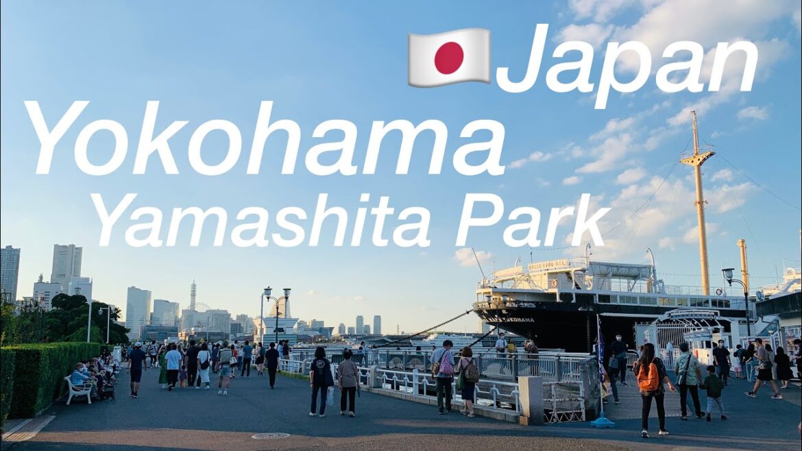 JAPAN🇯🇵⑦a popular park!To Yamashita Park /Yokohama, Kanagawa JAPAN🇯🇵⑦a popular park!To Yamashita Park /Yokohama, Kanagawa