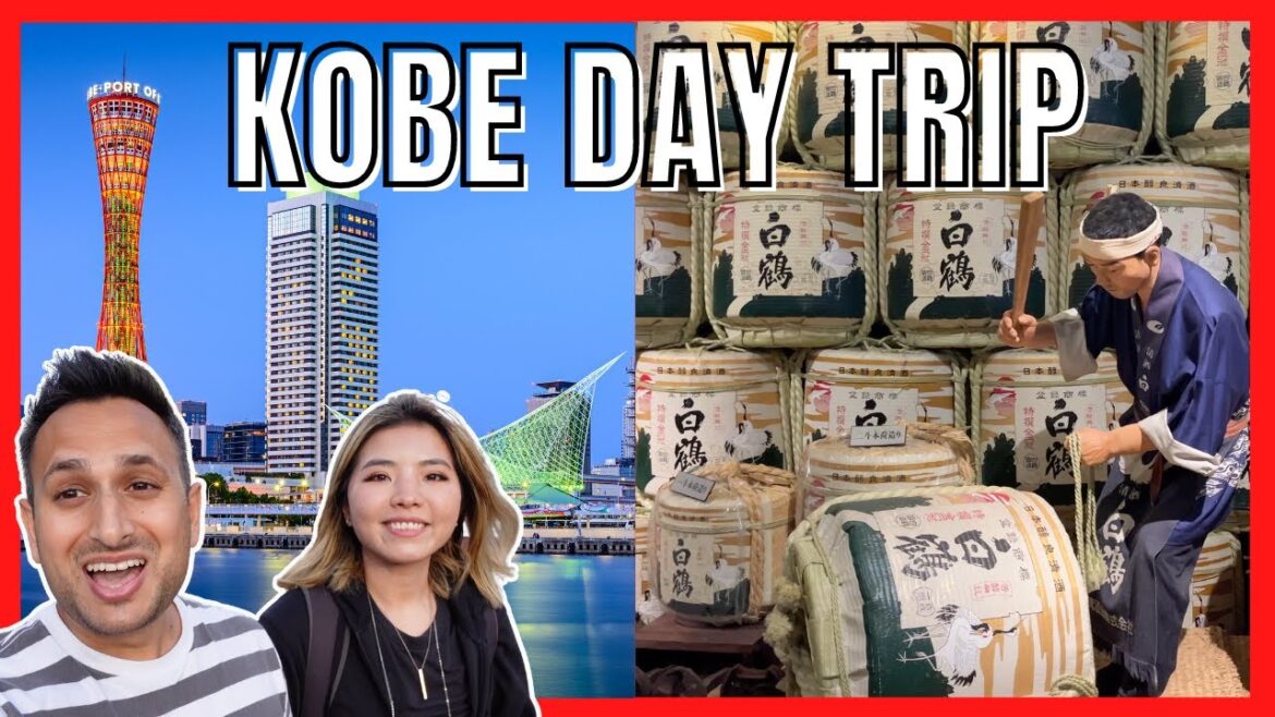 Japan Day 2 | Drinking SAKE in Kobe Japan