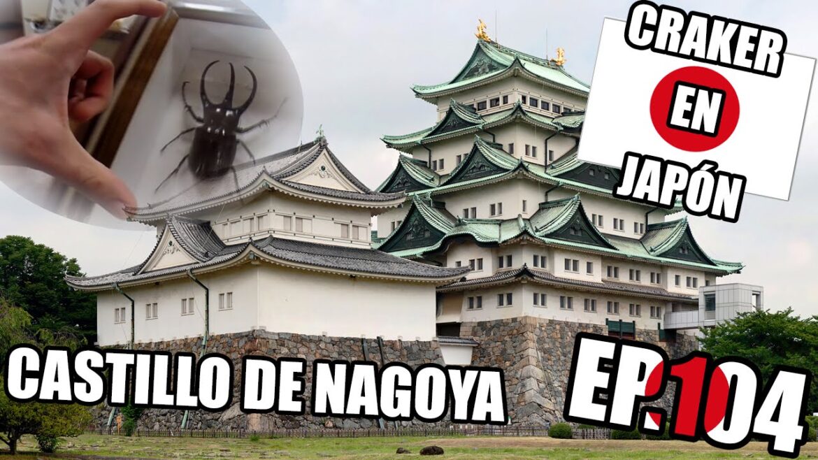 EL CASTILLO DE NAGOYA | Historia e Insectos gigantes | Craker en Japón
