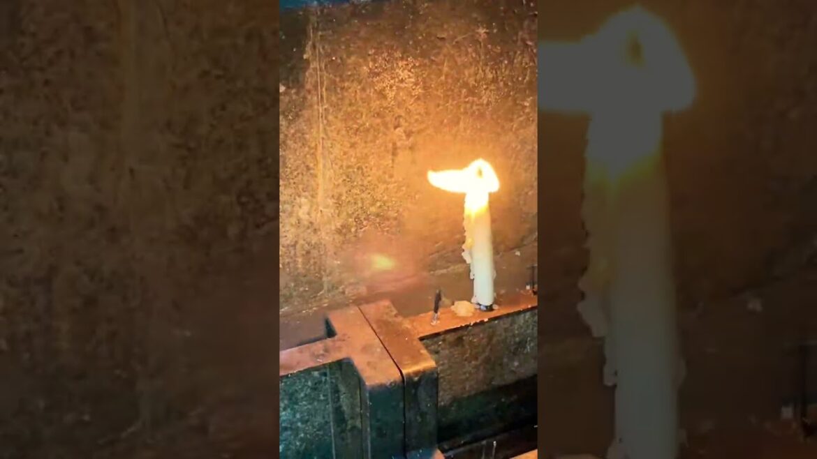 Fushimi Inari #shrine #shorts #1ancu1ghiozdan #japan #travel