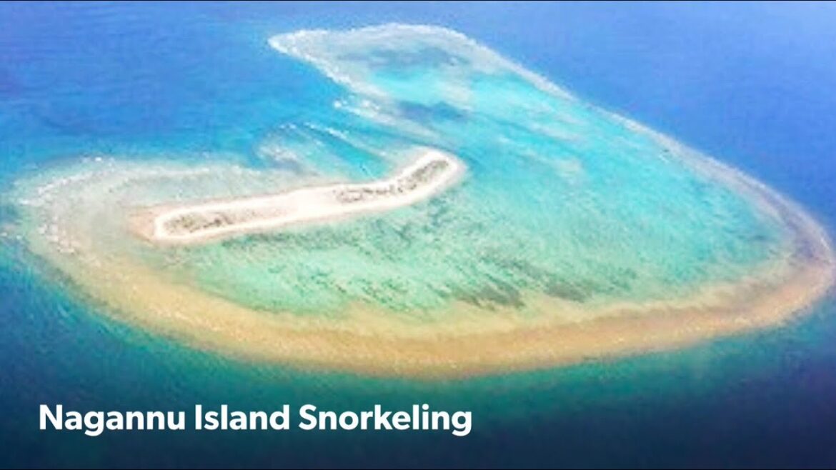 Nagannu Island Snorkeling Nagannu Island Snorkeling