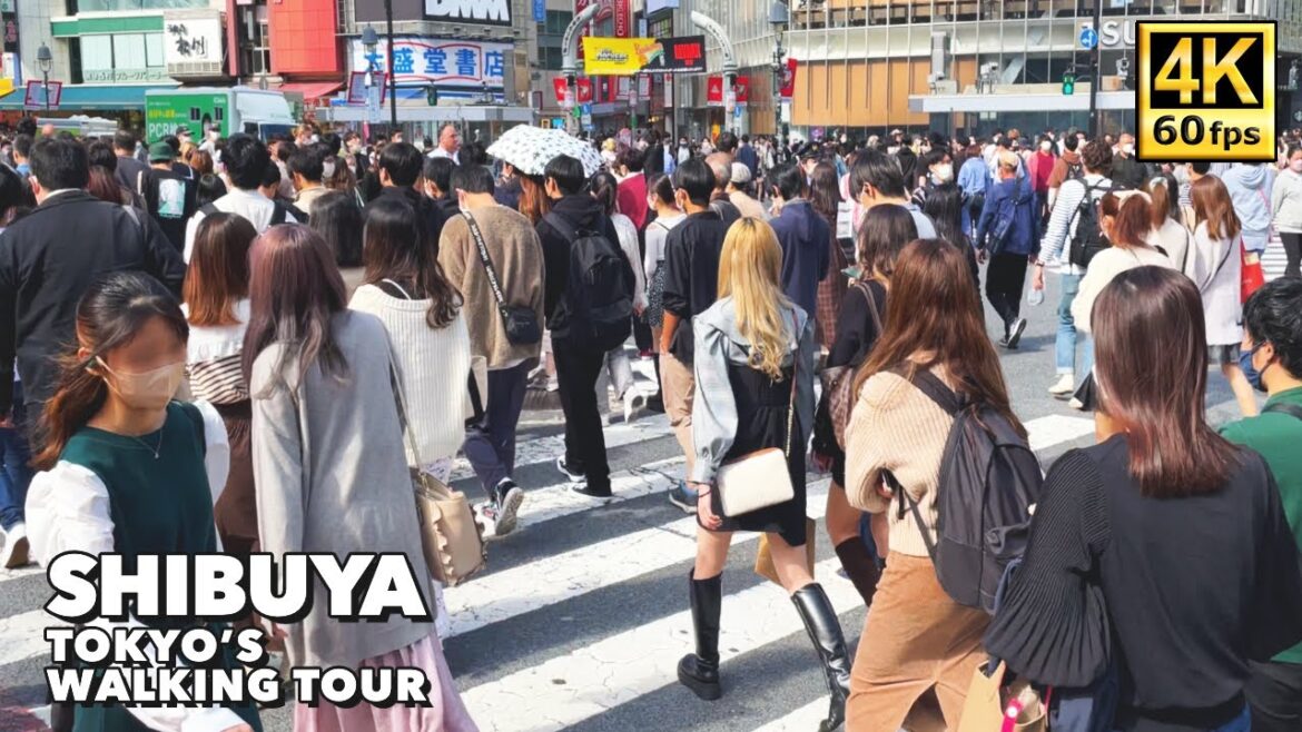 4K JAPAN TRAVEL|SHIBUYA|Tokyo Walk Tour|Oct,2022 (ASMR) 4K JAPAN TRAVEL|SHIBUYA|Tokyo Walk Tour|Oct,2022 (ASMR)