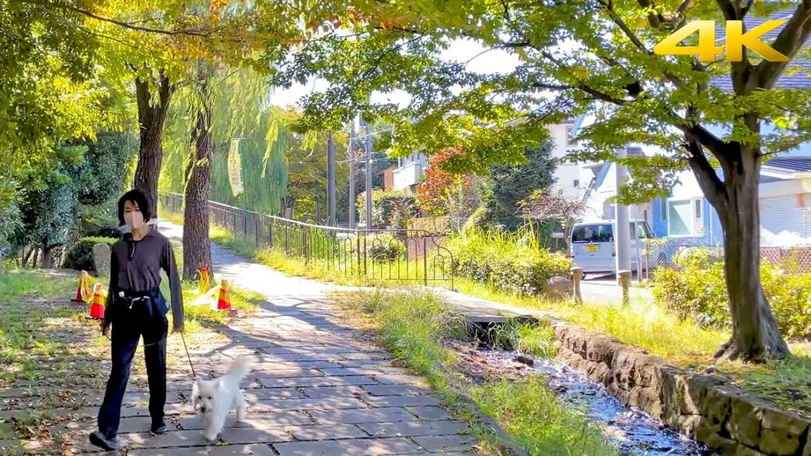 🇯🇵 Japan Countryside Village Walking Tour | 2022・4K 🇯🇵 Japan Countryside Village Walking Tour | 2022・4K