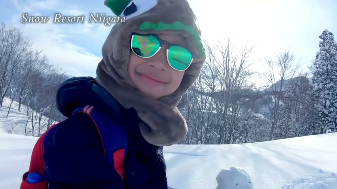 Snow resort Niigata Snow resort Niigata