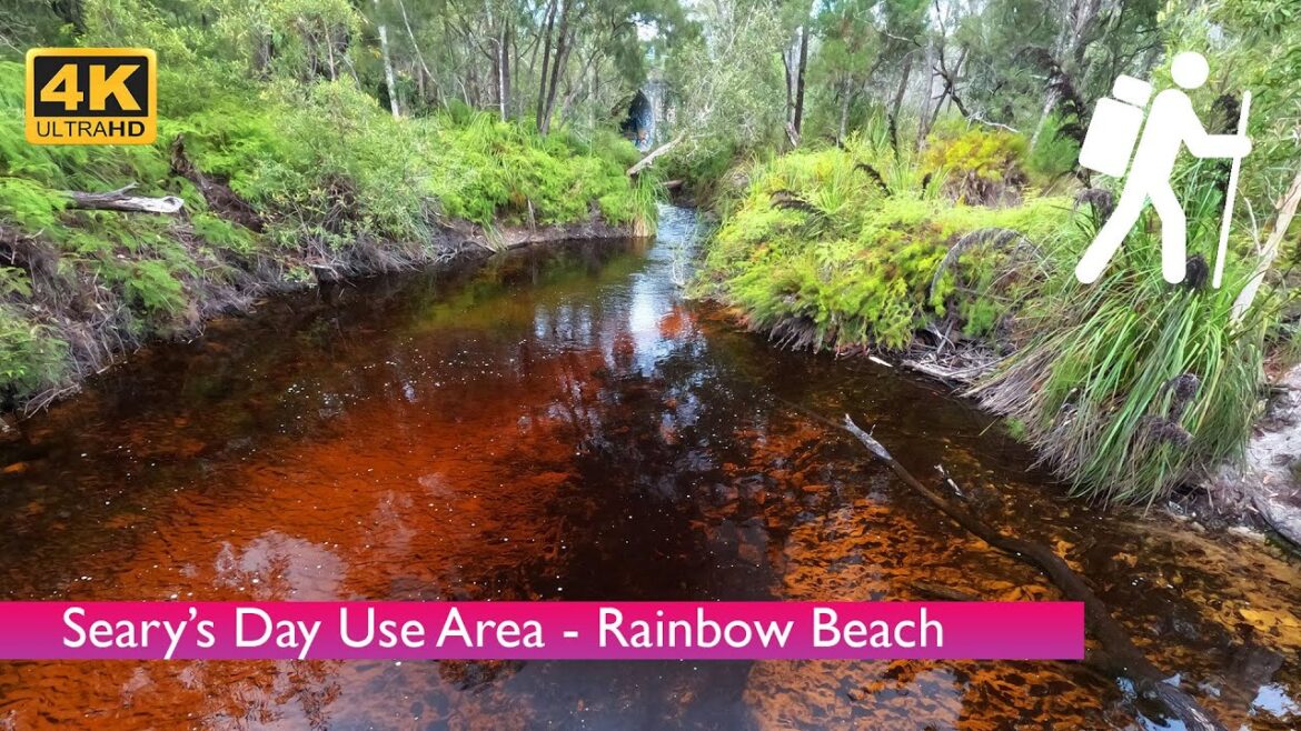 [4K UHD] [Nature Walk] Relaxing Walk Along the Boardwalk at Seary's Day Use Area- Rainbow Beach