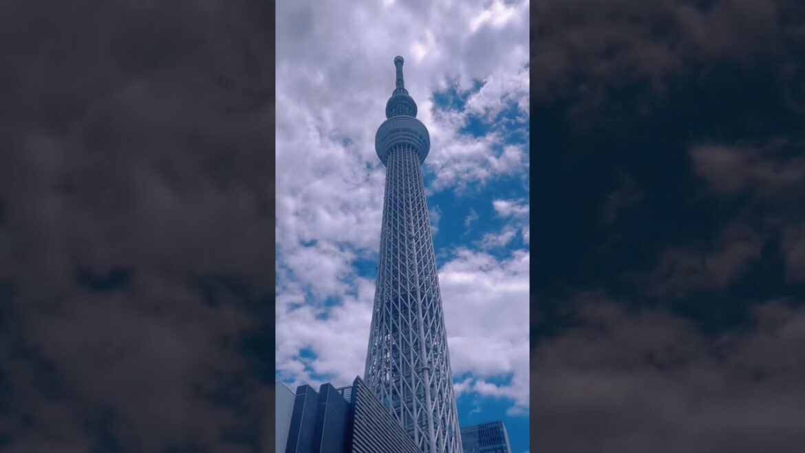 Tokyo Skytree | amazing architecture | tallest tower |  full video link in first comment @rasworld