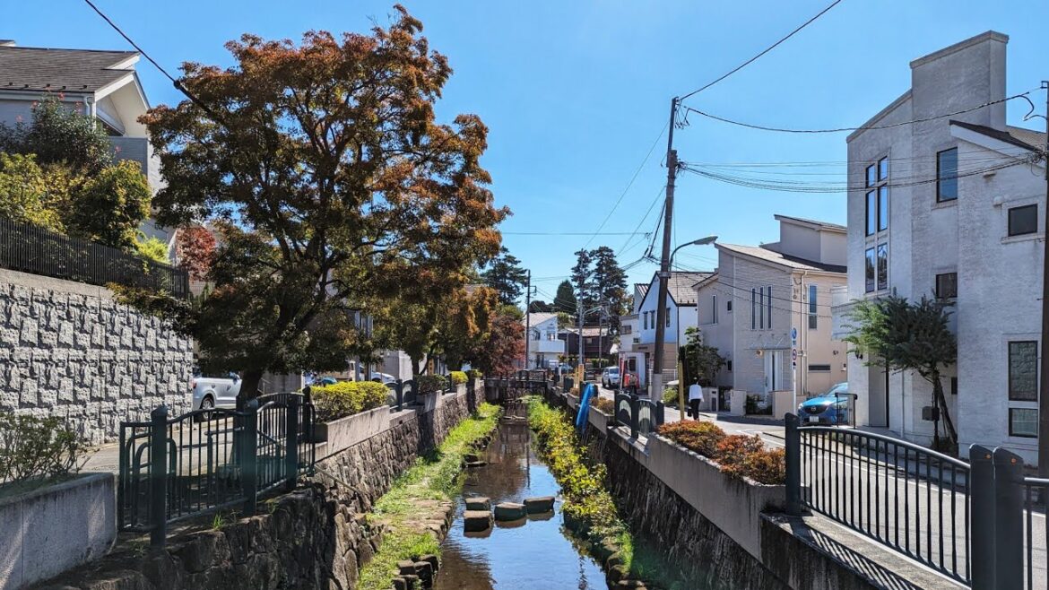 Tokyo Morning Walk – Futako-Tamagawa to Den-en-chofu – Tokyo's Luxury Residential Area Tokyo Morning Walk - Futako-Tamagawa to Den-en-chofu - Tokyo's Luxury Residential Area