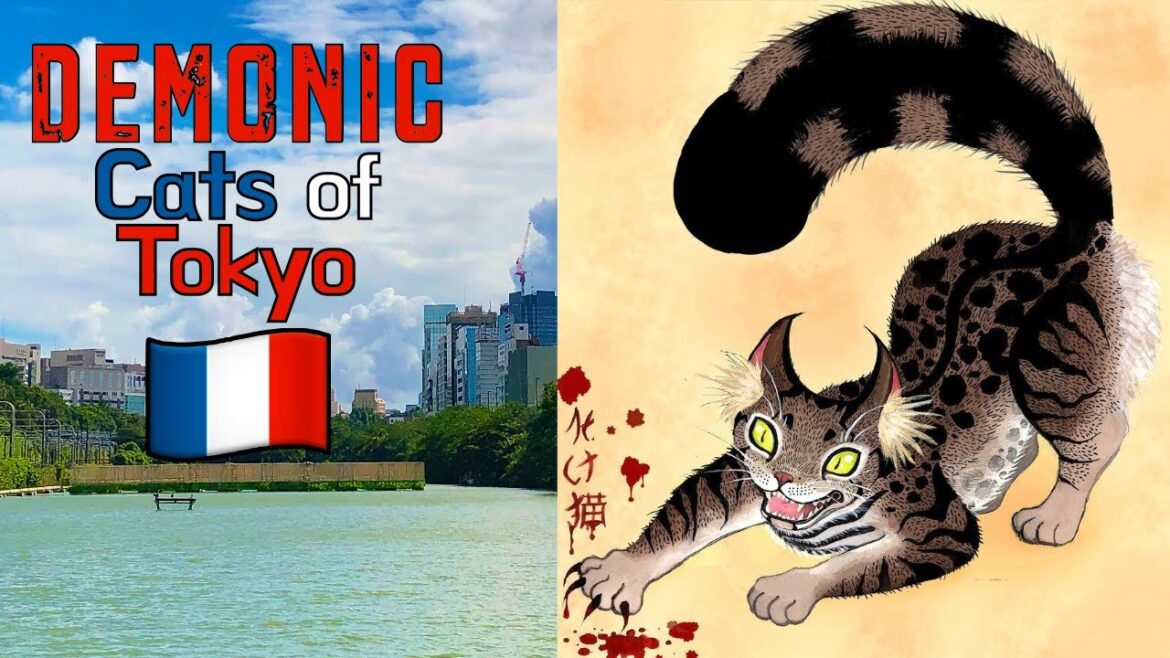 π΄π Kagurazaka Home of the Bakeneko & French Bakeries – Japan Travel 2022 π΄π Kagurazaka Home of the Bakeneko & French Bakeries - Japan Travel 2022