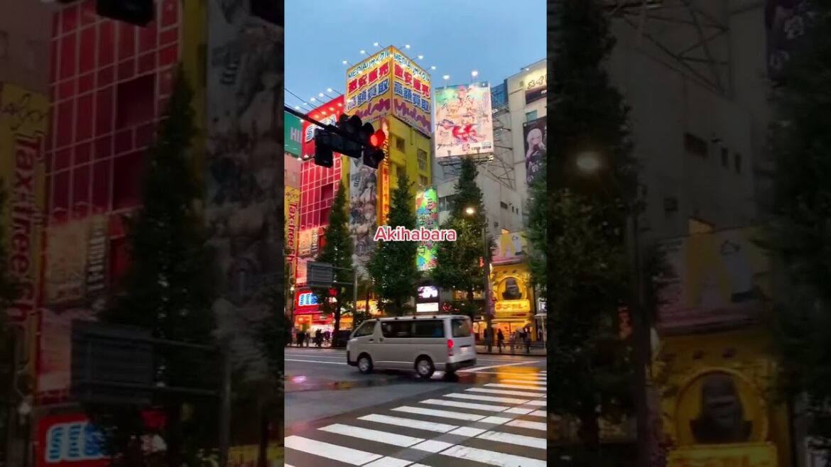 10 Areas to Visit in #Tokyo #shorts 10 Areas to Visit in #Tokyo #shorts