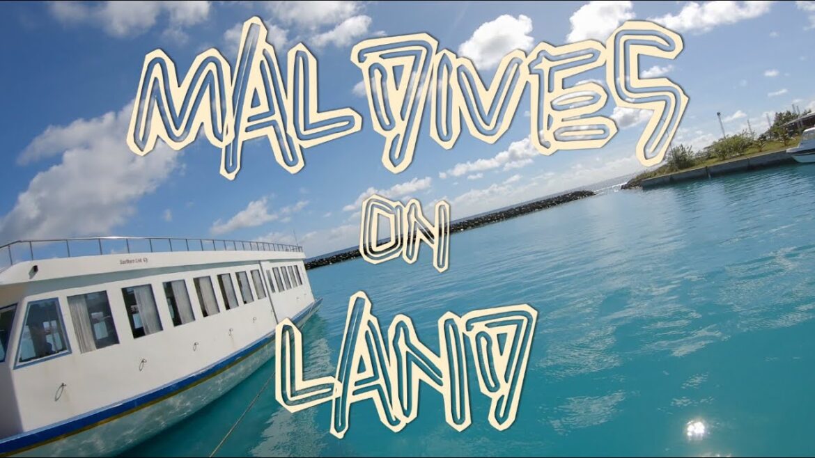 潛水Vlog｜馬爾代夫Dive Maldives｜陸上篇