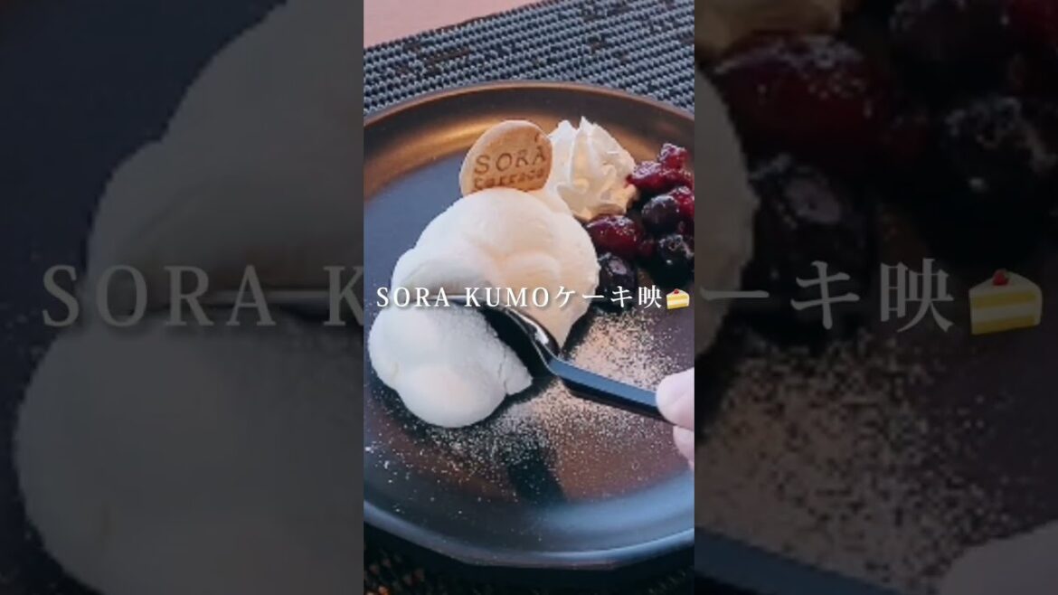 長野観光✨この秋本当に行ってよかった！感動の絶景パワースポット3選😆#shorts #長野グルメ　#長野　#長野観光