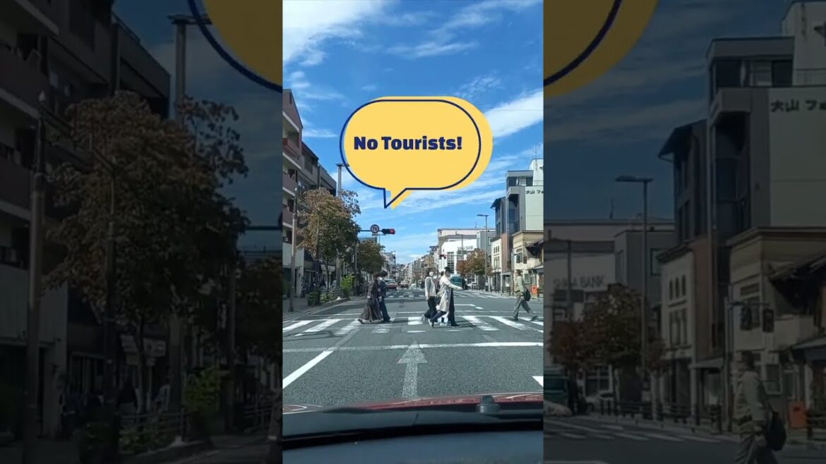 So Japan has fully opened BUT are tourists back?