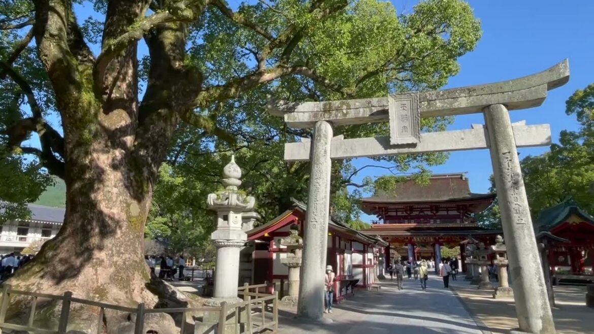 🇯🇵福岡県 太宰府 (Dazaifu, Fukuoka) 2022