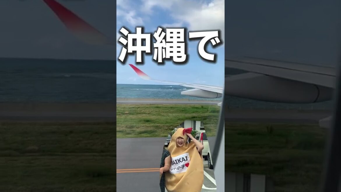 美瑛の廃墟リフォーム計画、素人広報が０から作るワーケーション施設【第25話】 #shorts #美瑛 #ワーケーション #北海道