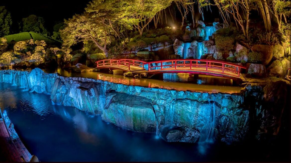 Japan opened. Booked your ticket yet? New must-visit places opened in Japan, watch Sakura TV now Japan opened. Booked your ticket yet? New must-visit places opened in Japan, watch Sakura TV now