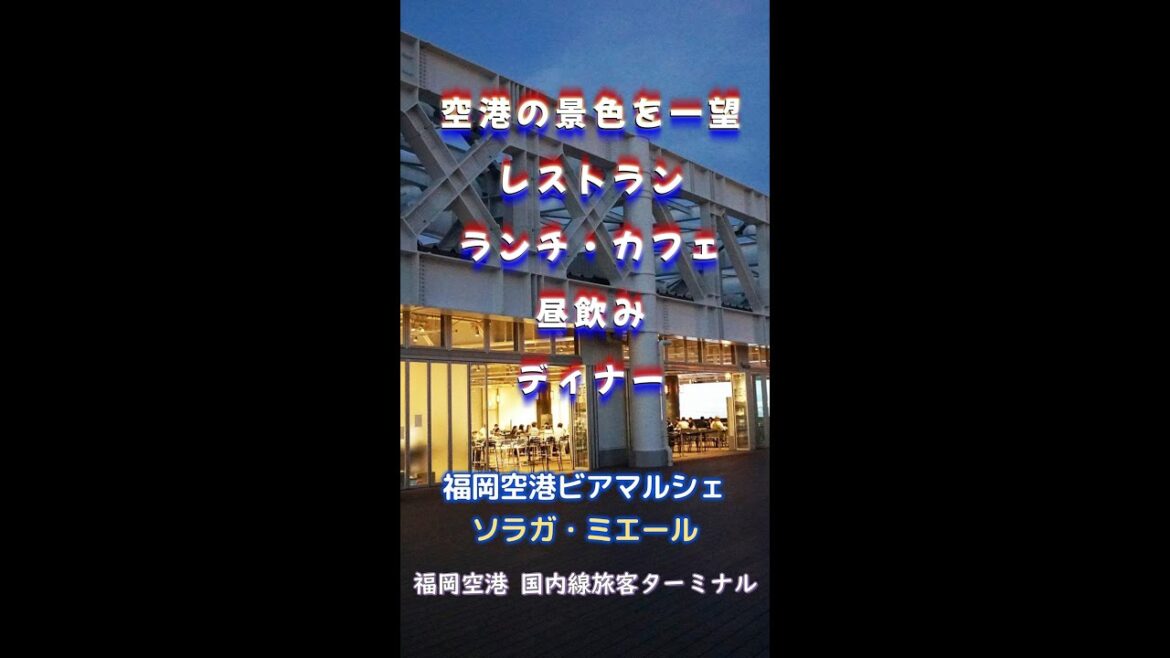 【福岡】空港の景色を一望できるレストラン♪@福岡空港ビアマルシェ ソラガ・ミエール #shorts 【福岡】空港の景色を一望できるレストラン♪@福岡空港ビアマルシェ ソラガ・ミエール #shorts