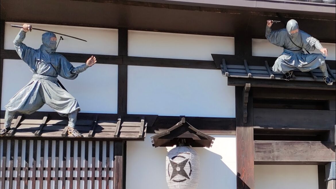 Kyoto Studio Park | 東映太秦映画村 Kyoto Studio Park | 東映太秦映画村