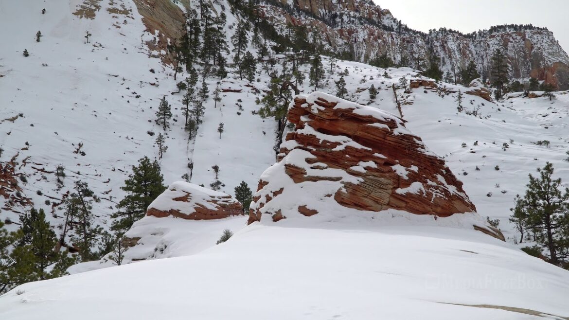 Zion National Park after heavy snow storm covering the landscape Zion National Park after heavy snow storm covering the landscape