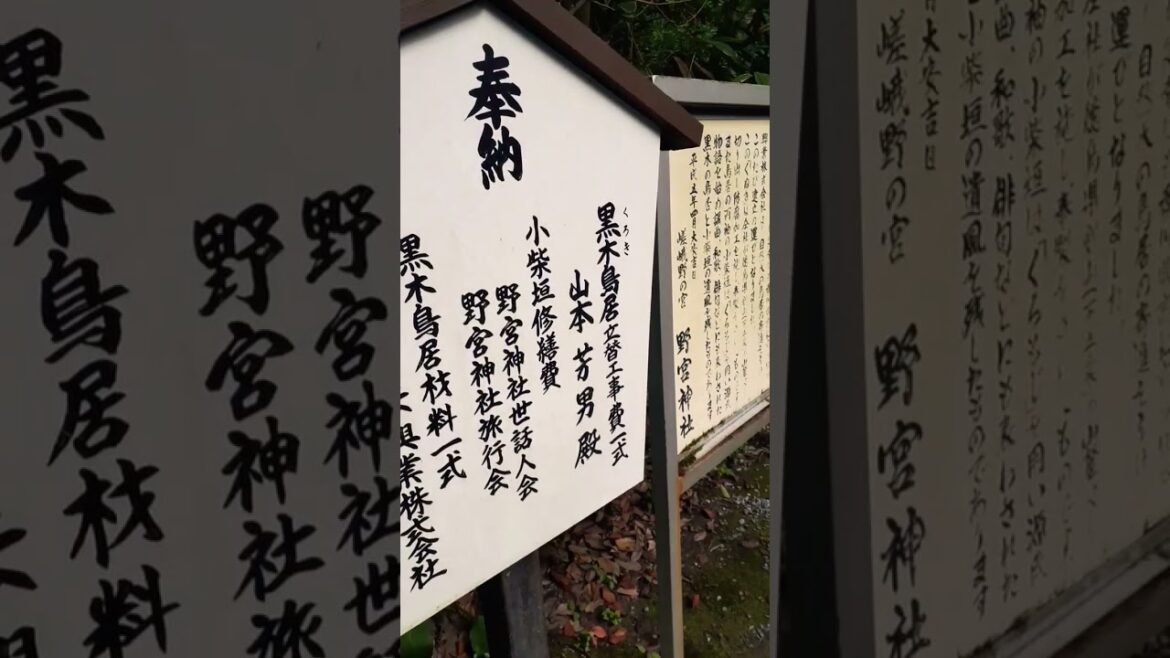 日本の神社は嵐山の上に #shorts #shorts #kyoto #jinja #japan #foryou #youtubeshorts #travel