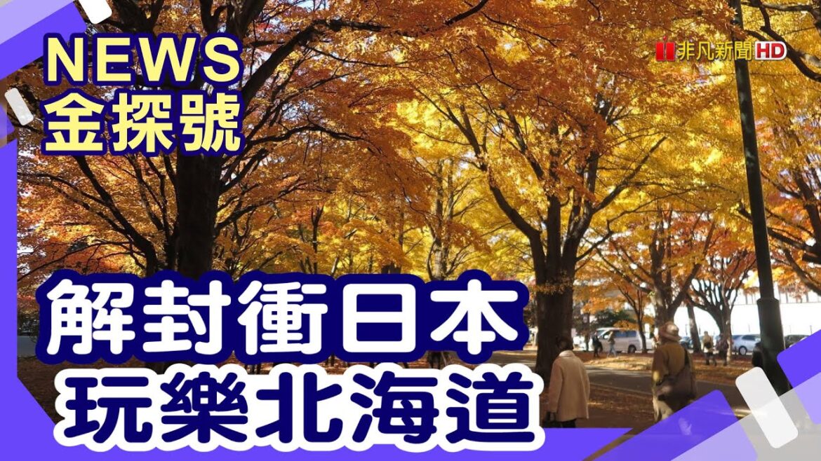 解封出國玩日本|日圓狂貶旅費便宜 北海道景點 團費 行前規劃 【News金探號】