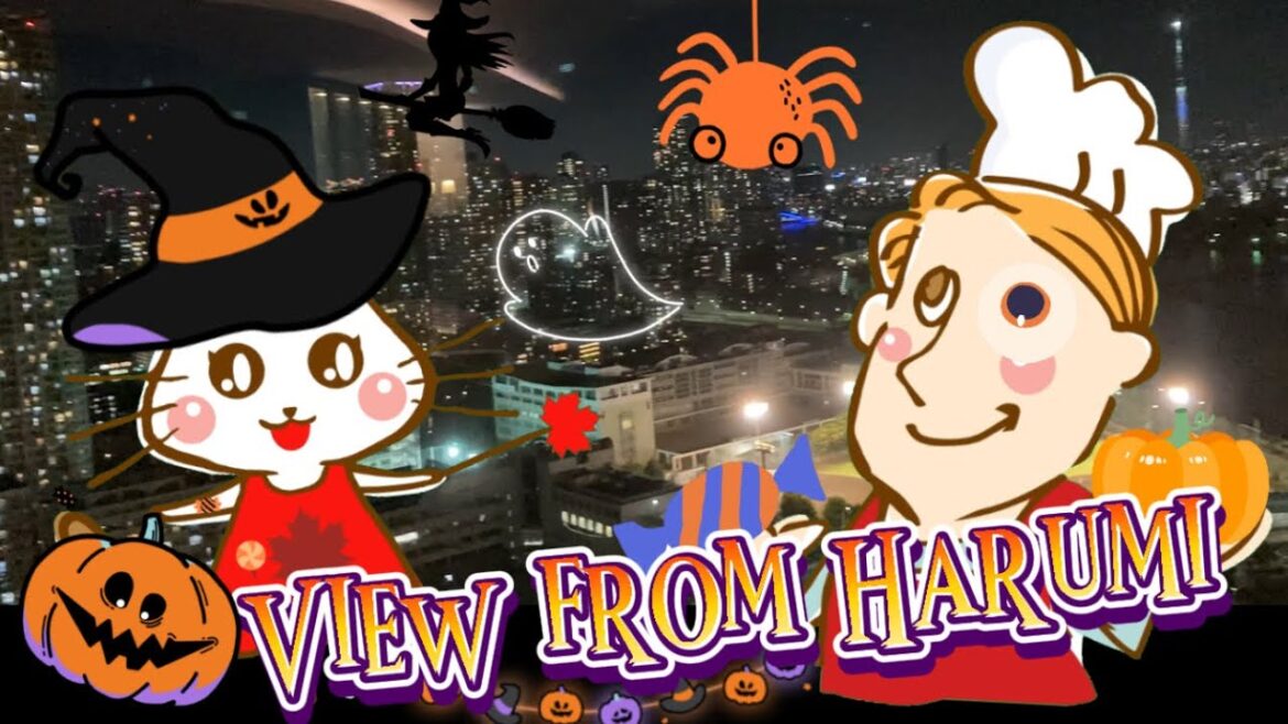 【東京都・晴海、佃、月島】タワーマンションからの東京の絶景✨高層ビルが立ち並ぶ❗️ a wonderful view of Tokyo from a high-rise condo❣️(#13) 【東京都・晴海、佃、月島】タワーマンションからの東京の絶景✨高層ビルが立ち並ぶ❗️ a wonderful view of Tokyo from a high-rise condo❣️(#13)