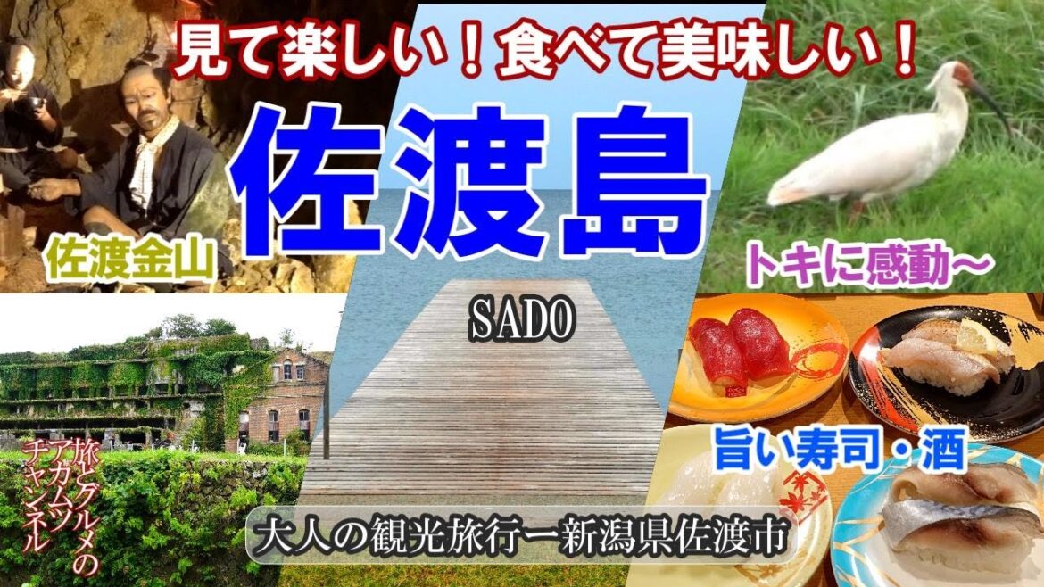 【佐渡島】旨い寿司と酒・トキを探す旅・佐渡金山など盛りだくさん 【佐渡島】旨い寿司と酒・トキを探す旅・佐渡金山など盛りだくさん
