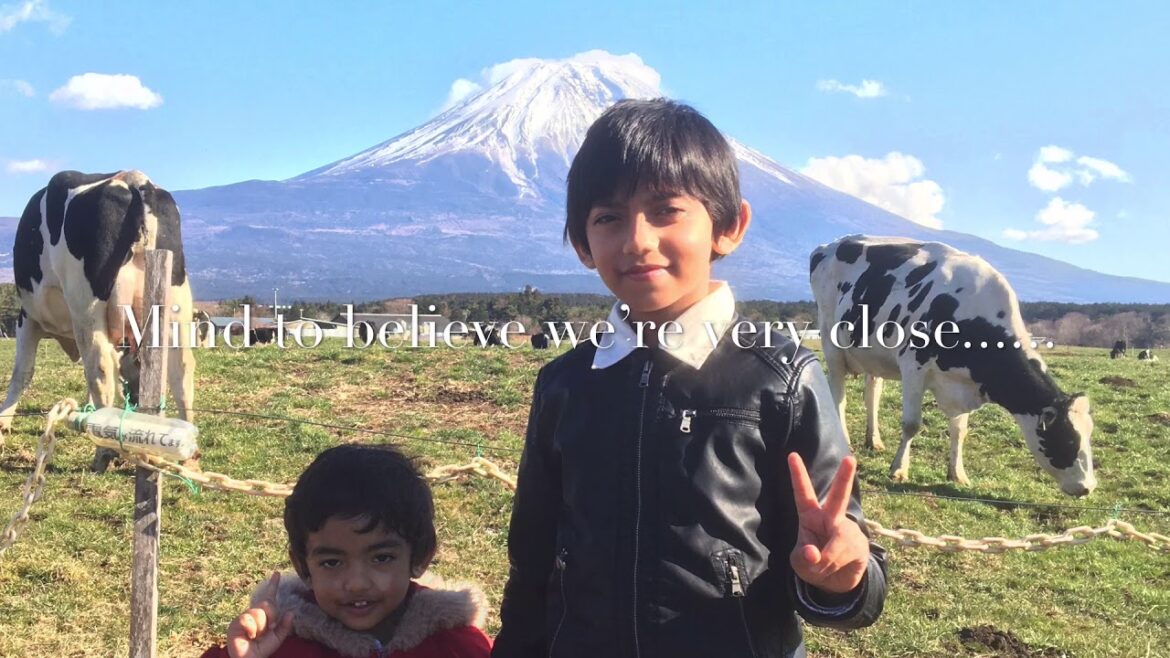 Mt Fuji Cow farm Fujinomiya Japan ||Afnans Brother USA