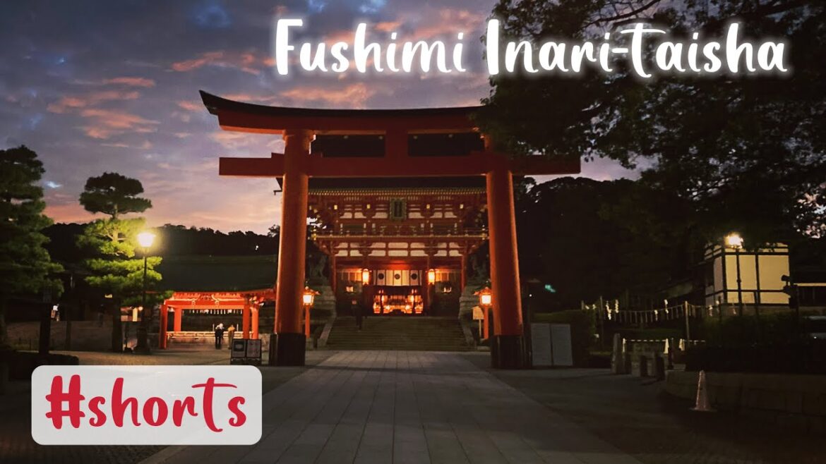 Fushimi Inari Taisha|Explore the Mountain Shrine in Early Morning|Shrine in Kyoto Japan|#shorts