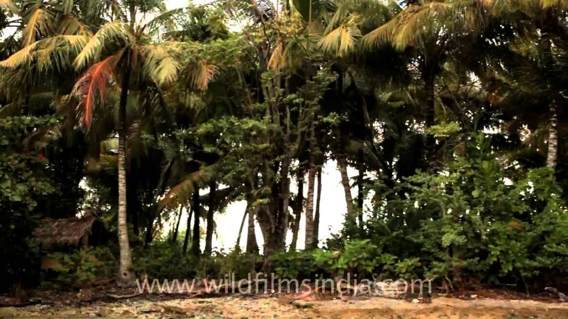 Sailing through Sumatra, Indonesia